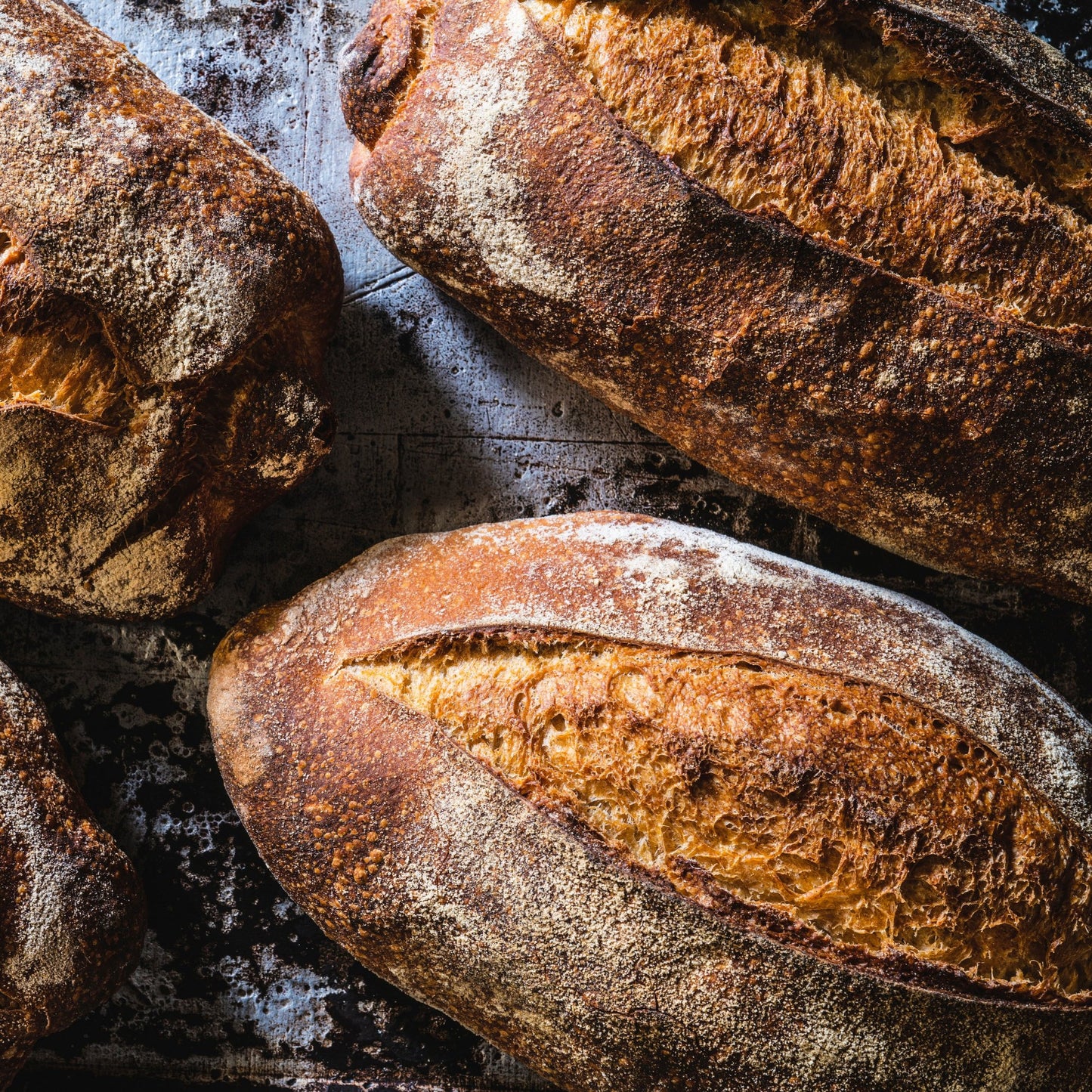 Gluten Free All-Purpose Flour – 25 lb Bulk Bag