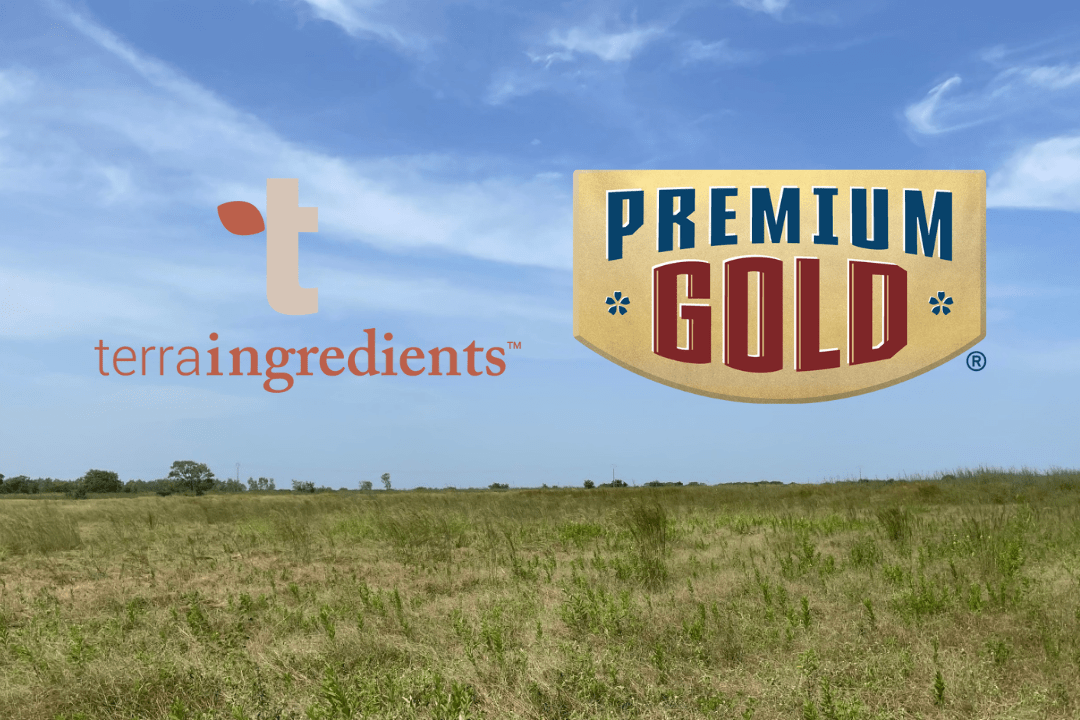 Premium Gold and Terra Ingredients Team Up on Fonio